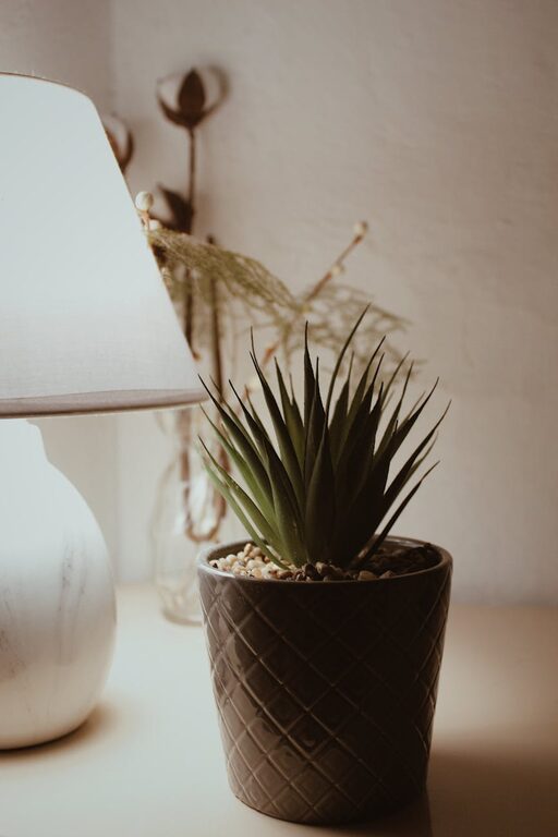 Affordable Tips for a Cozy and Inviting Home Environment