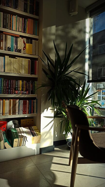 How to Create a Cozy Reading Nook in Your Home